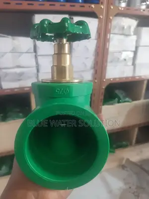 PPR Gate Valve 75"