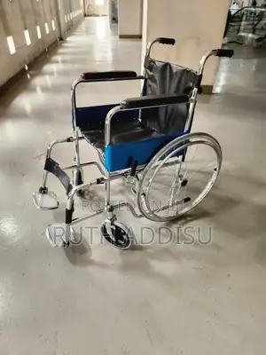 Wheelchair狗兒wheelchair懲處wheelchair怏跑wheelchair雞湯wheelchair