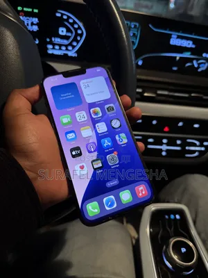 Apple iPhone 13 Pro Max 256 GB Gray