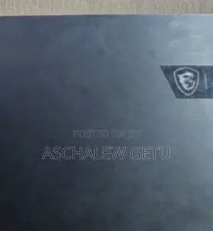 New Laptop MSI GE75 Raider 10SE 16GB Intel Core I7 SSD 1T