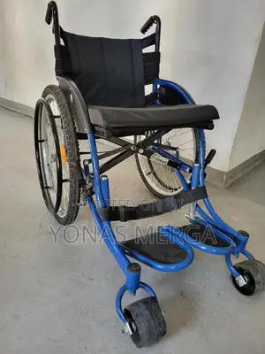 Europe Wheelchair夥同wheelchair to Meet Daily Mobility Needs.