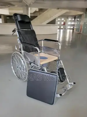 Toilet Wheelchair=Illness,Disability, Age-Related Condition