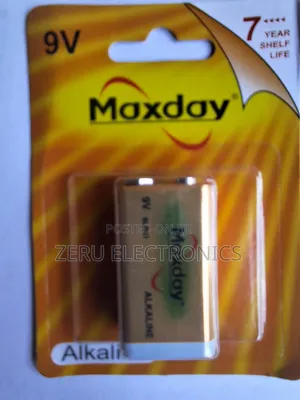 9v Alkaline Battery
