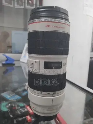 Photo - Zebra Lens 70-200mm Mark Iii