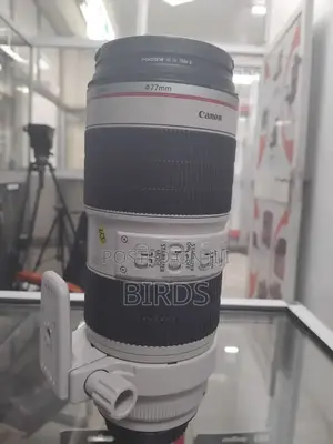 Zebra Lens 70-200mm Mark Iii