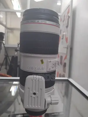 Zebra Lens 70-200mm Mark Iii