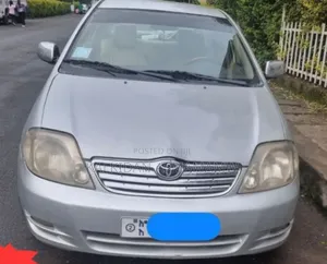 Photo - Toyota Corolla 2003 Silver
