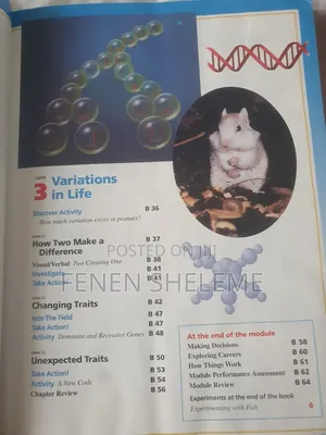 Science Book for Grade 6 Students