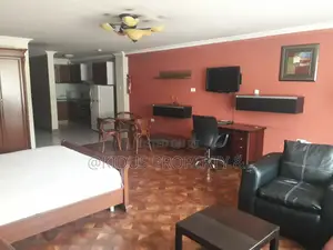 Photo - Furnished 1bdrm Apartment in Africa Union, Nifas Silk-Lafto for rent