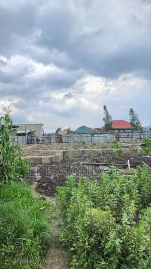Photo - 1bdrm Farm House in Oromia-Finfinne for sale