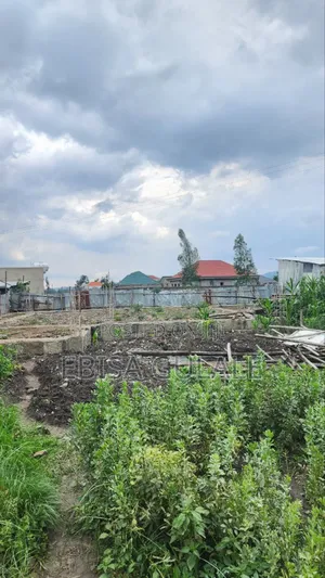 1bdrm Farm House in Oromia-Finfinne for sale