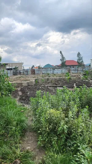 1bdrm Farm House in Oromia-Finfinne for sale