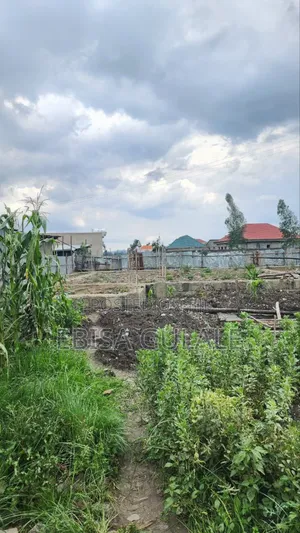 1bdrm Farm House in Oromia-Finfinne for sale