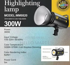 300w Led Spotlight