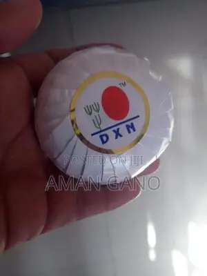 DXN Ganozhi Soap