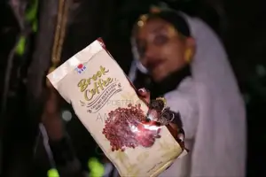 DXN Brook Coffee (ብሩክ ቡና)