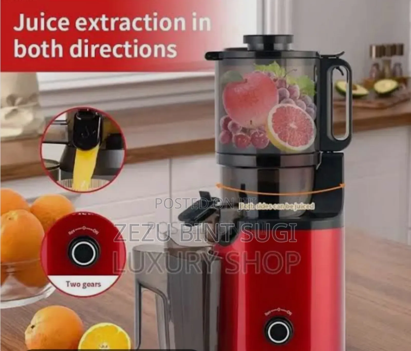 Slow Juicer Sk-01009