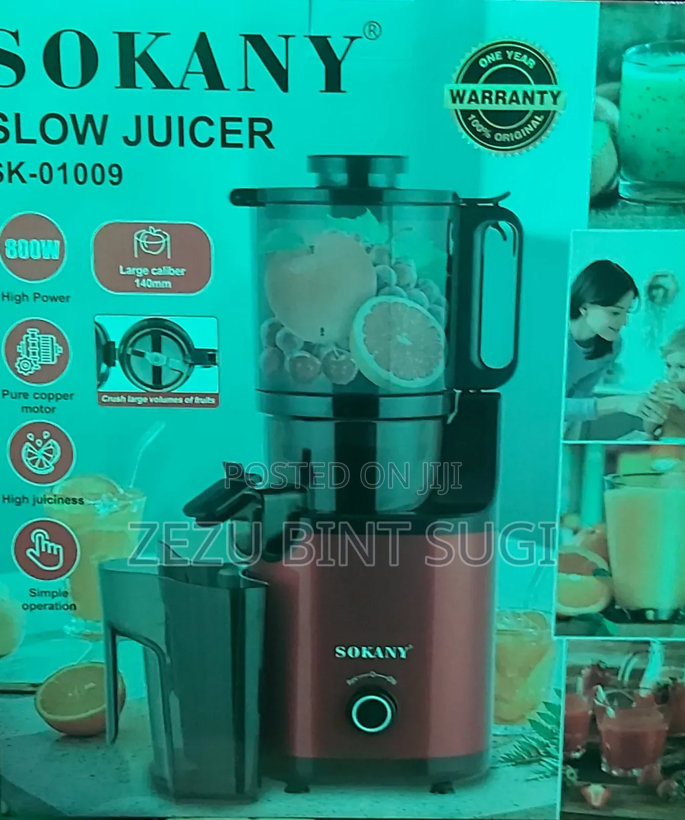 Slow Juicer Sk-01009