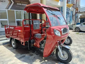 Photo - New Bajaj 2024 Red