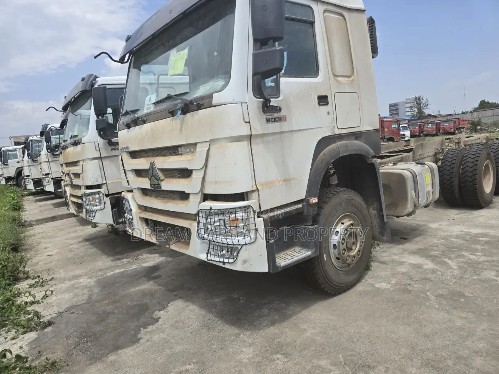 Sino Casoni ሲኖ ካሶኒ