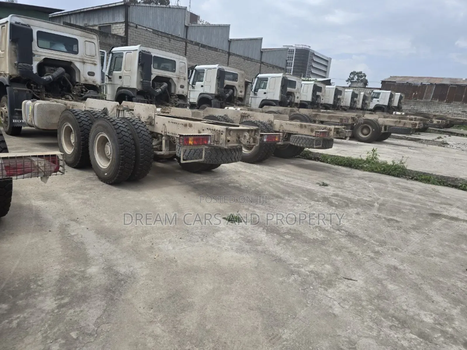 Sino Casoni ሲኖ ካሶኒ