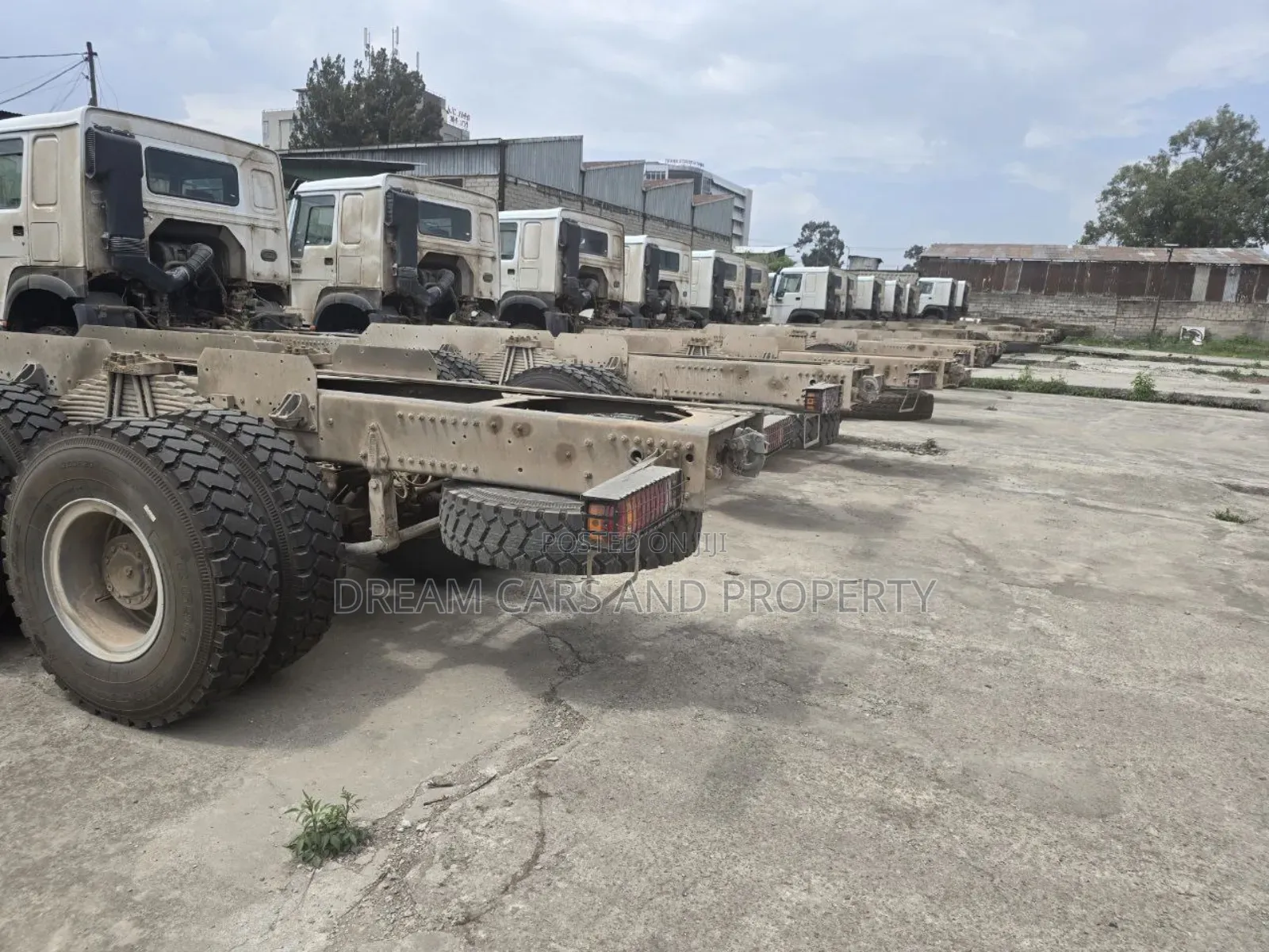 Sino Casoni ሲኖ ካሶኒ