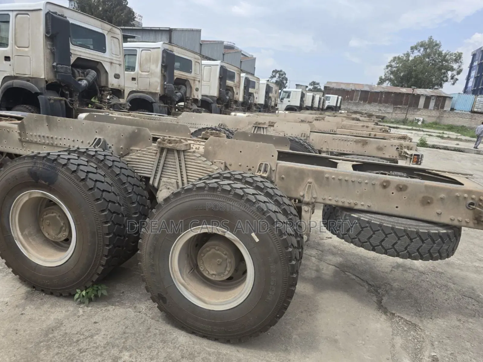 Sino Casoni ሲኖ ካሶኒ