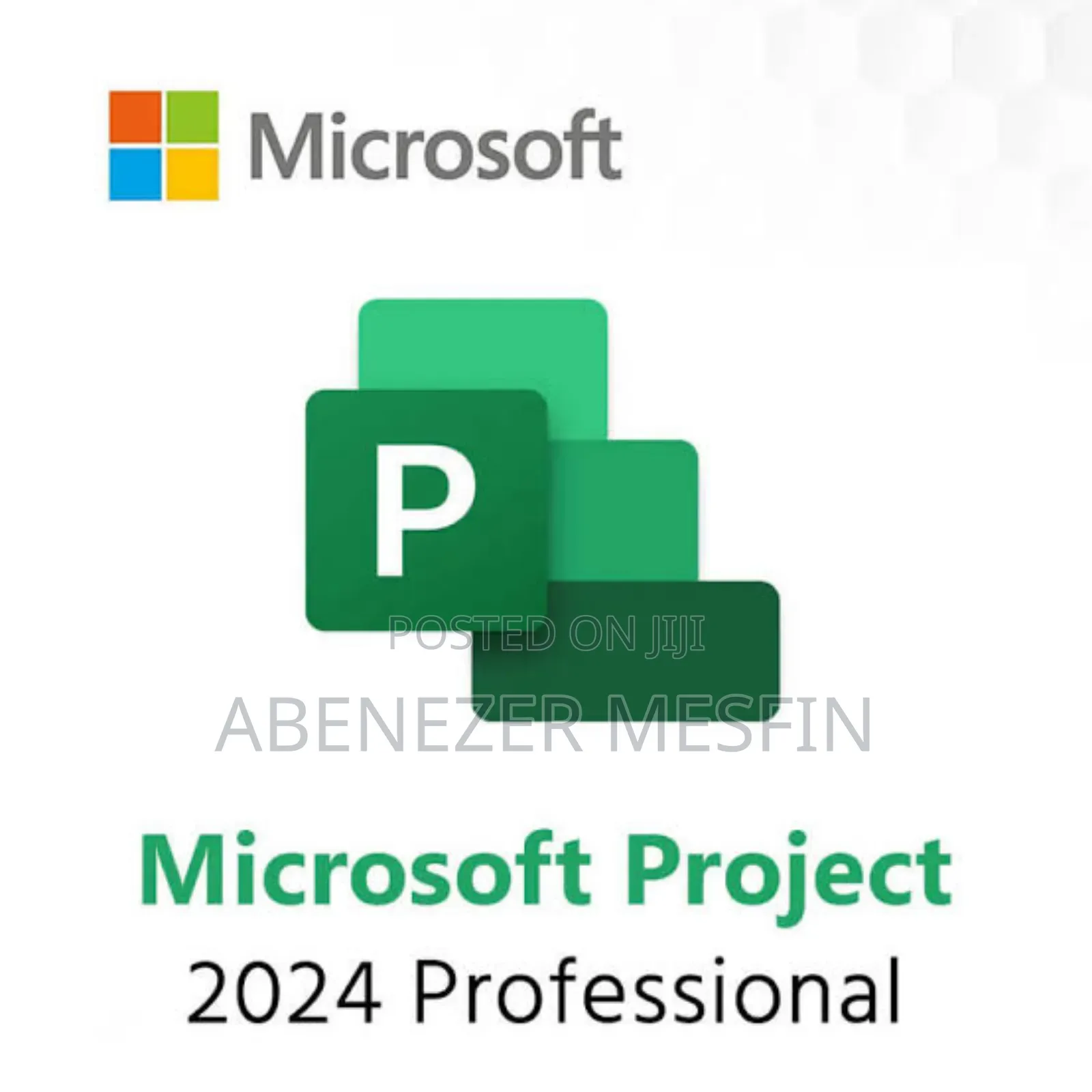 Microsoft Project 2024 Lifetime Version