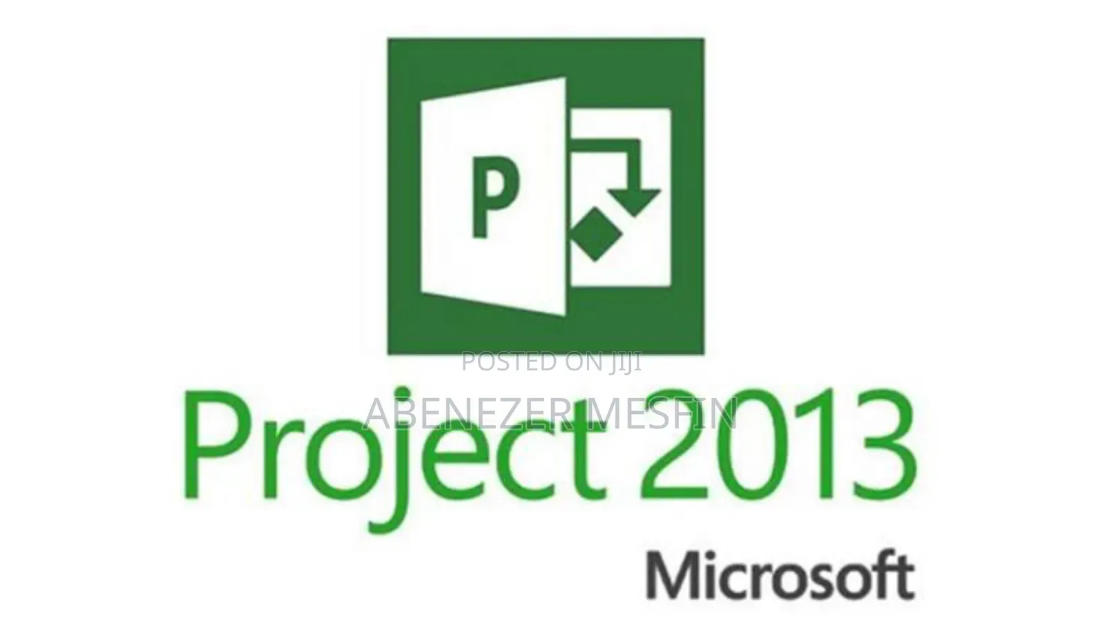 Microsoft Project 2013