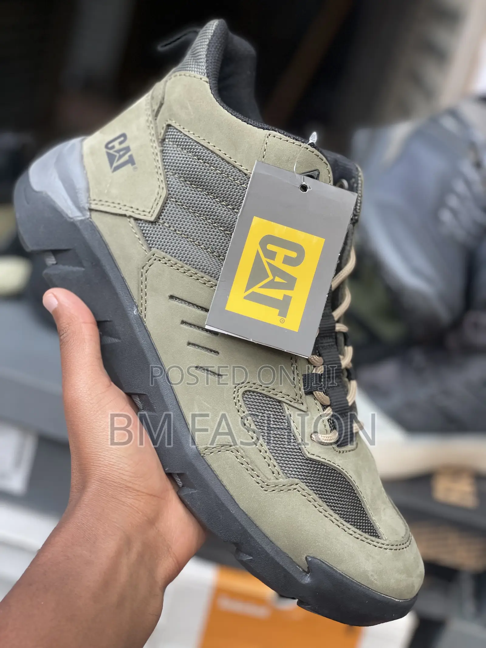 Cat Mid High Light Green Quality Shoes