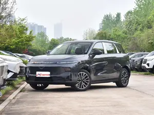 Photo - New Leapmotor C10 2025 Gray