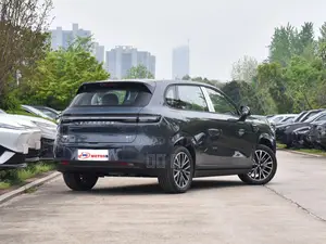 New Leapmotor C10 2025 Gray