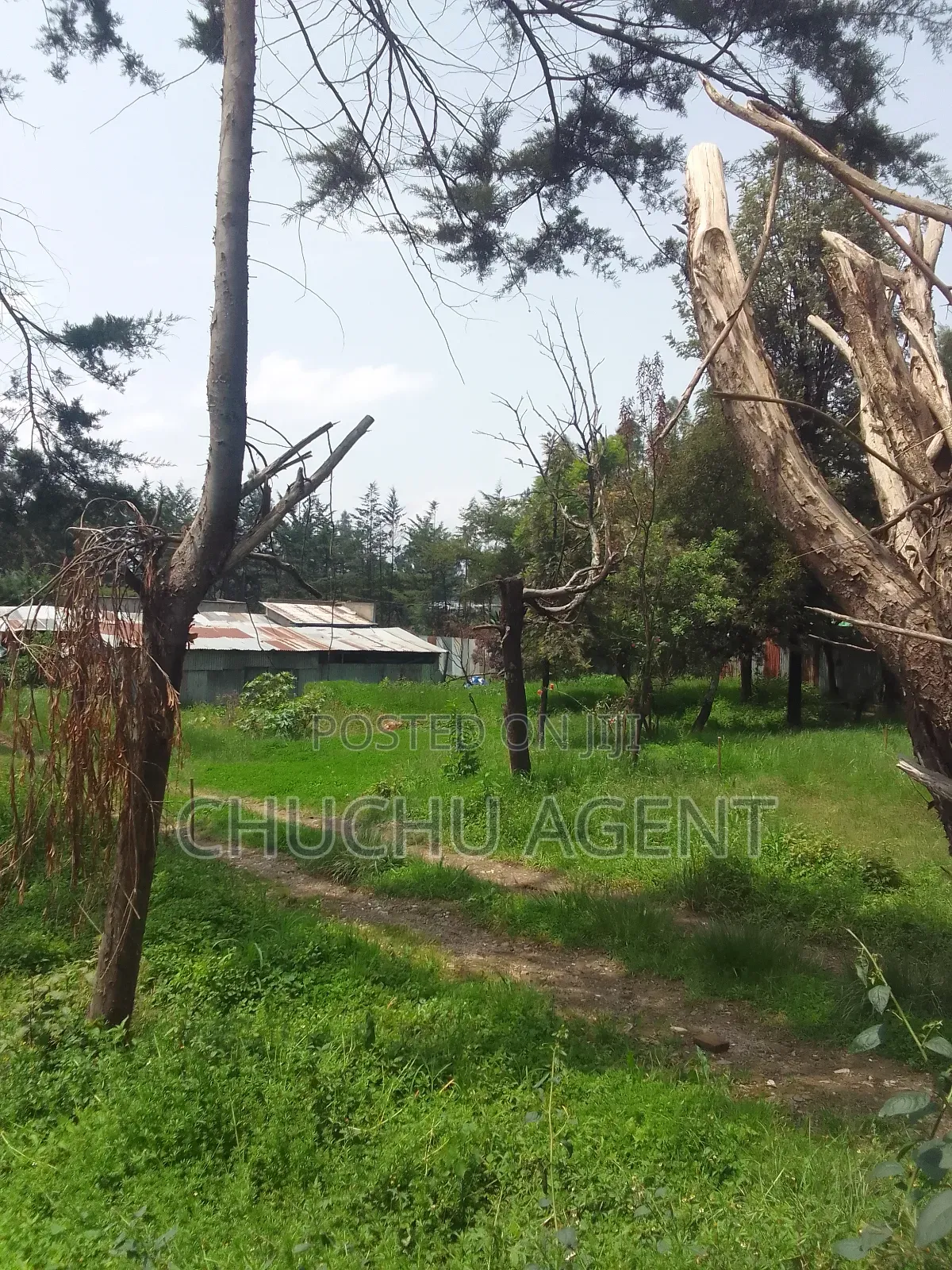 Construction Land Sale ,For School, Apartment Etc C