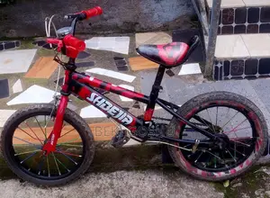 Photo - Orginal Cycle