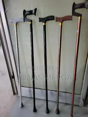 Photo - Cane虢声benefits:Using a Walking Stick or Cane