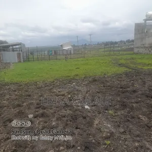Photo - Garmored Bota