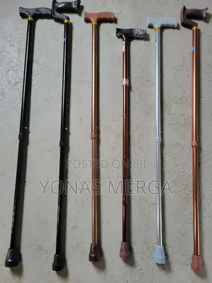 Photo - Walking Cane虢𤳉the Every Back Patient Needs官地cane