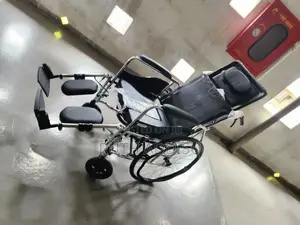 Wheelchair角色wheelchair腦部wheelchair填海wheelchair腔裏wheelchair