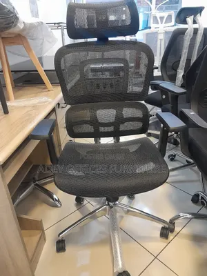 Managerial Ergonomic Office Chair