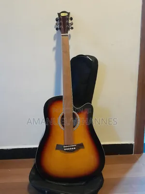 Photo - Siltron Semi Acoustic Guitar