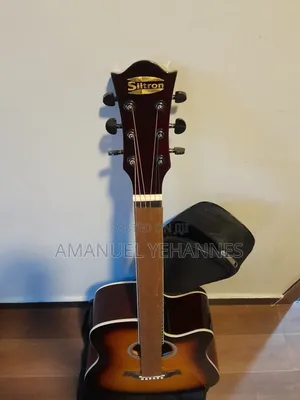 Siltron Semi Acoustic Guitar