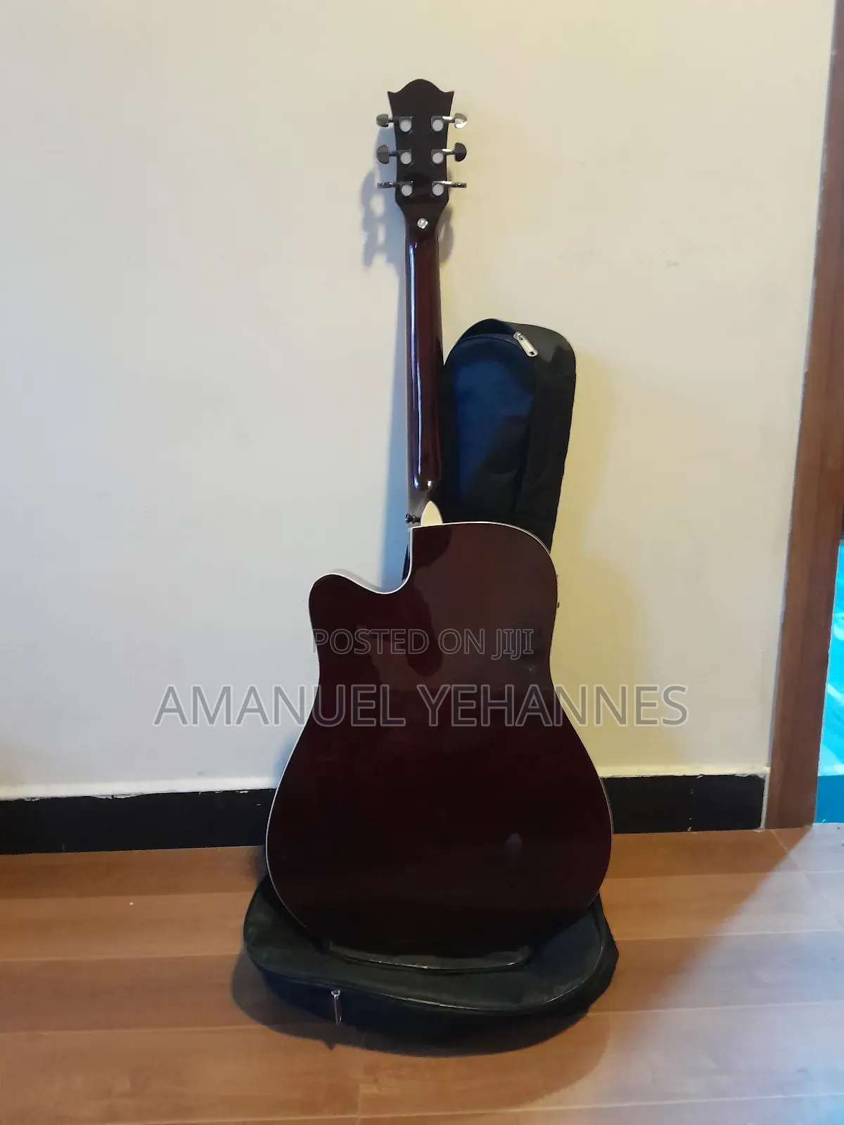 Siltron Semi Acoustic Guitar