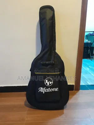 Siltron Semi Acoustic Guitar