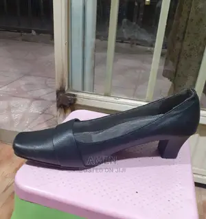 Ladies Shoe