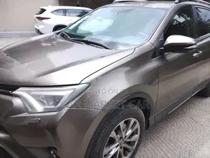 Toyota RAV4 LE 4dr SUV (2.5L 4cyl 6A) 2018 Gray