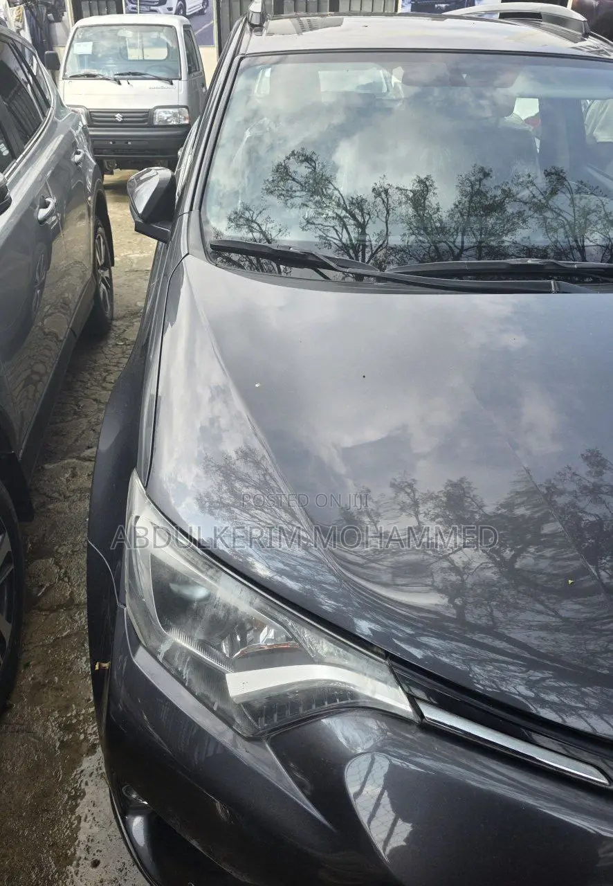 Toyota RAV4 2018 Gray