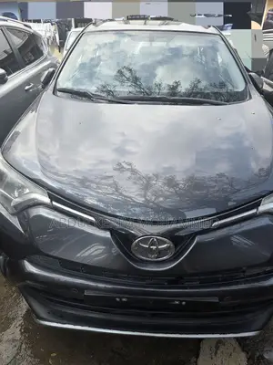 Toyota RAV4 2018 Gray