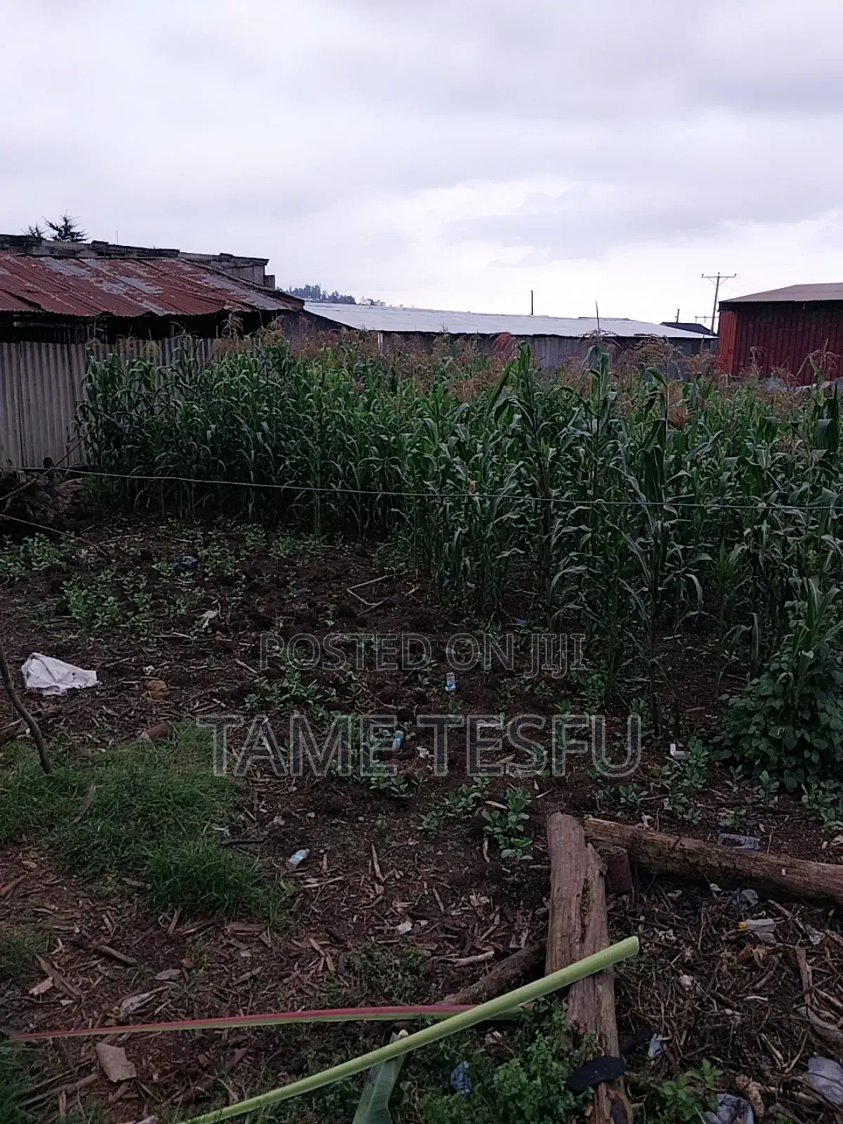 2bdrm House in Hayat, Bole for sale