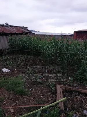 2bdrm House in Hayat, Bole for sale