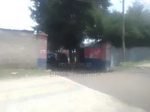 ለ አፓርታማ ለድርጅት የሚሆን